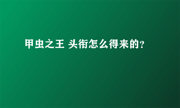 甲虫之王 头衔怎么得来的？