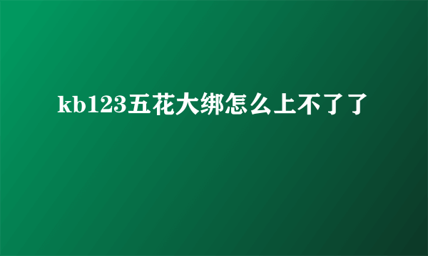 kb123五花大绑怎么上不了了