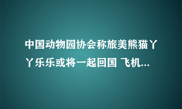 中国动物园协会称旅美熊猫丫丫乐乐或将一起回国 飞机已在准备中