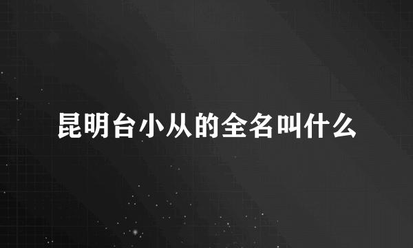 昆明台小从的全名叫什么