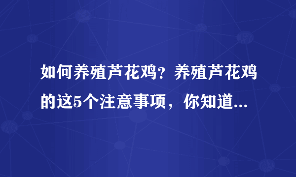 如何养殖芦花鸡？养殖芦花鸡的这5个注意事项，你知道几个呢？