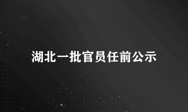 湖北一批官员任前公示