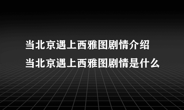 当北京遇上西雅图剧情介绍 当北京遇上西雅图剧情是什么