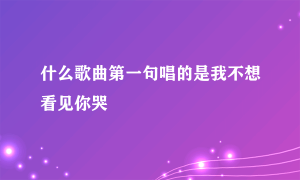 什么歌曲第一句唱的是我不想看见你哭