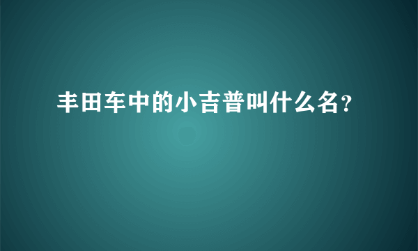 丰田车中的小吉普叫什么名？