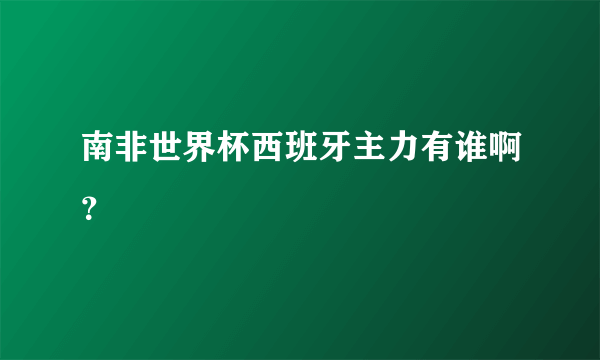 南非世界杯西班牙主力有谁啊？