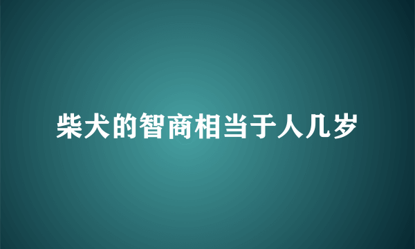 柴犬的智商相当于人几岁