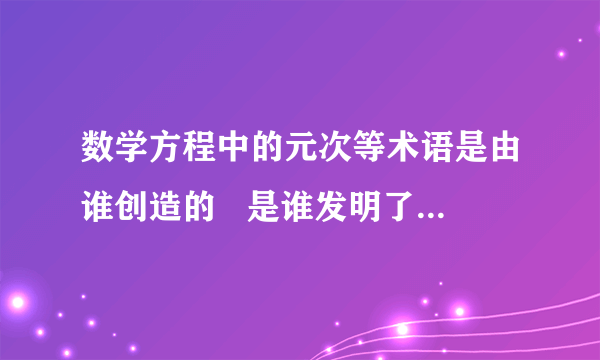 数学方程中的元次等术语是由谁创造的   是谁发明了数学方程中的元次术语