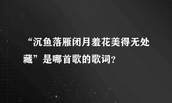 “沉鱼落雁闭月羞花美得无处藏”是哪首歌的歌词？