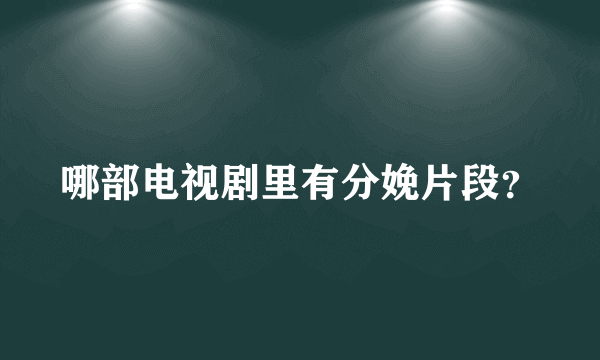 哪部电视剧里有分娩片段？