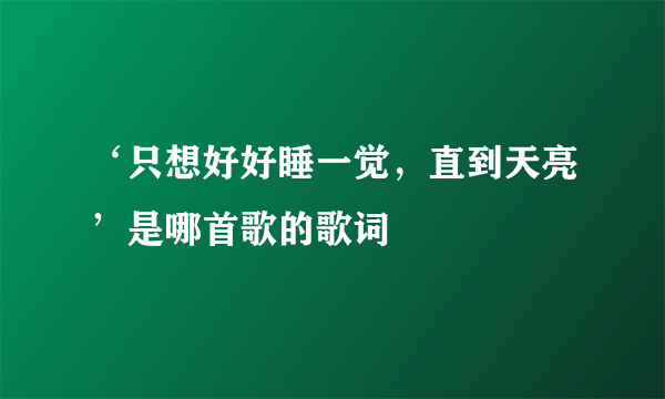 ‘只想好好睡一觉，直到天亮’是哪首歌的歌词