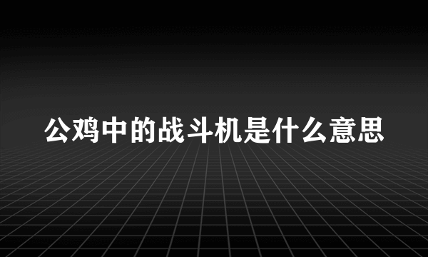 公鸡中的战斗机是什么意思