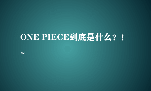 ONE PIECE到底是什么？！~