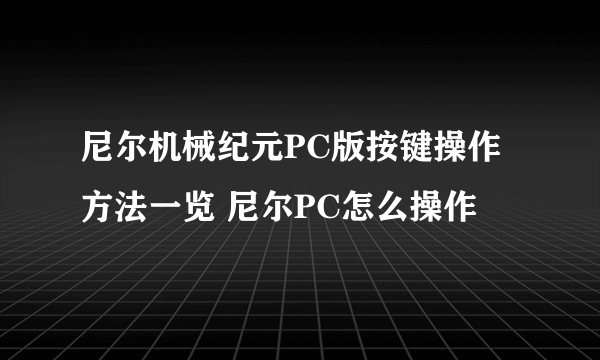 尼尔机械纪元PC版按键操作方法一览 尼尔PC怎么操作