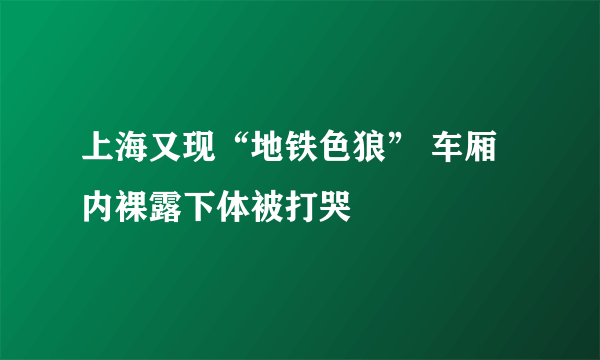 上海又现“地铁色狼” 车厢内裸露下体被打哭