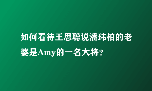 如何看待王思聪说潘玮柏的老婆是Amy的一名大将？