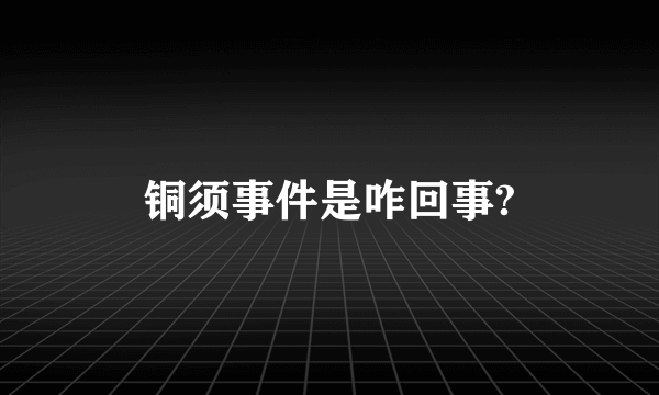 铜须事件是咋回事?