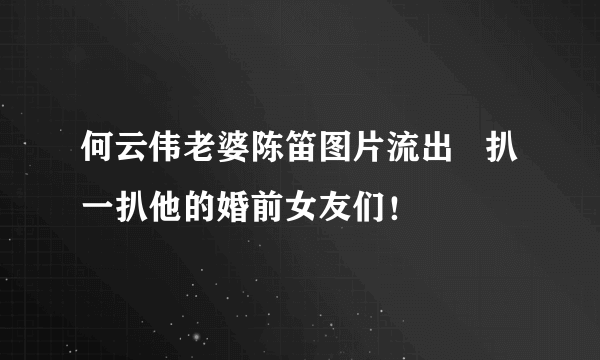 何云伟老婆陈笛图片流出   扒一扒他的婚前女友们！