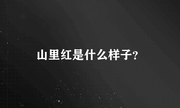 山里红是什么样子？