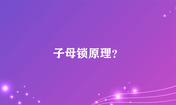 子母锁原理？