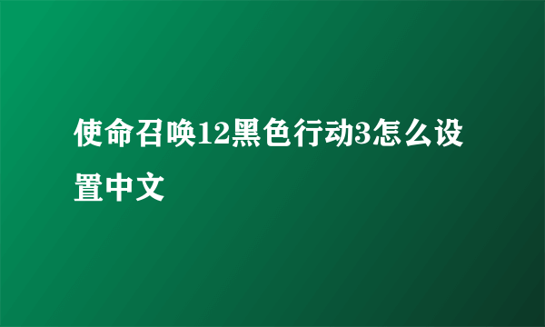 使命召唤12黑色行动3怎么设置中文