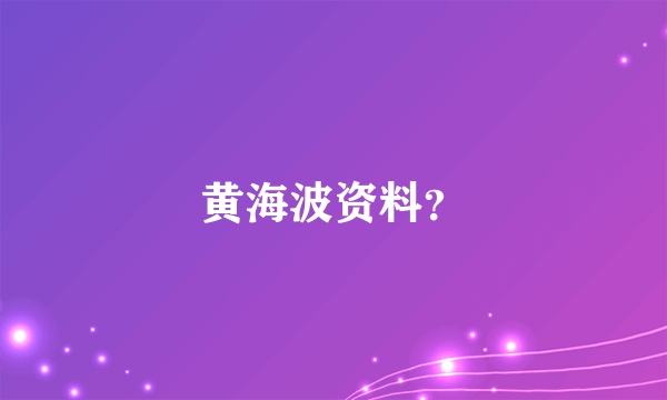 黄海波资料？