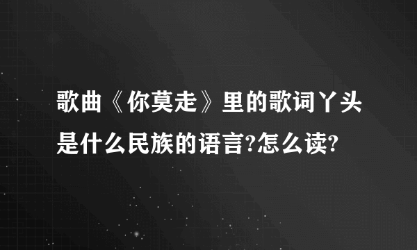 歌曲《你莫走》里的歌词丫头是什么民族的语言?怎么读?