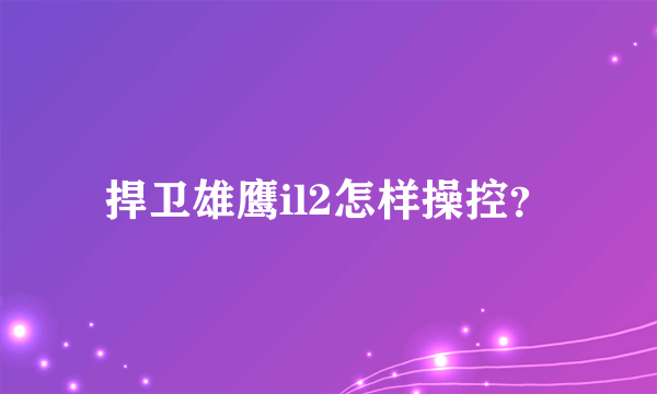 捍卫雄鹰il2怎样操控？