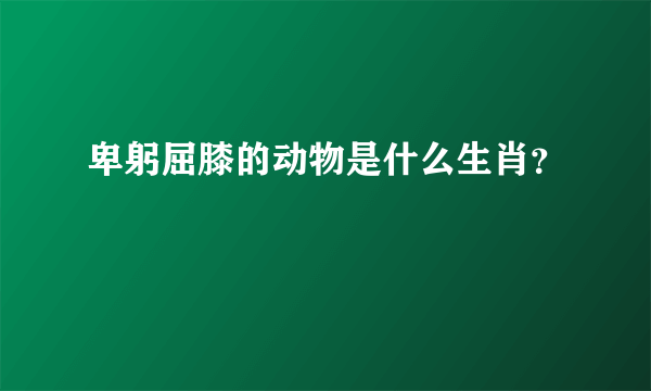 卑躬屈膝的动物是什么生肖？