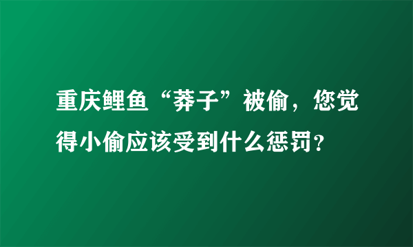 重庆鲤鱼“莽子”被偷，您觉得小偷应该受到什么惩罚？