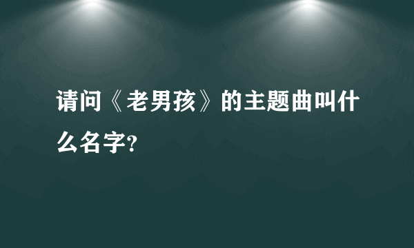 请问《老男孩》的主题曲叫什么名字？