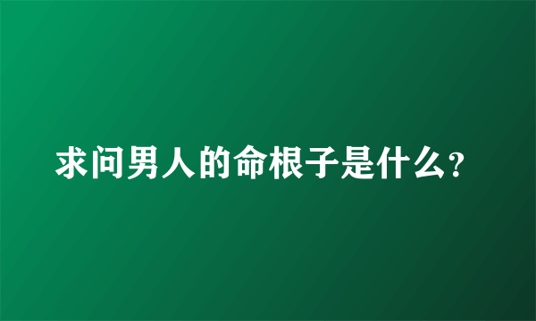 求问男人的命根子是什么？