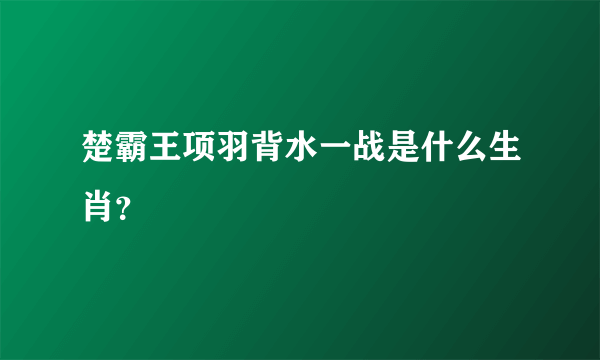 楚霸王项羽背水一战是什么生肖？