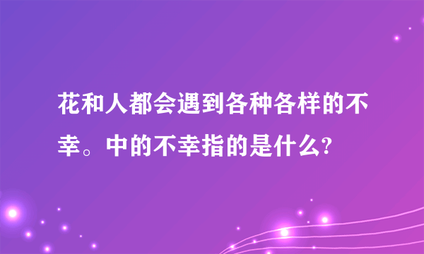 花和人都会遇到各种各样的不幸。中的不幸指的是什么?