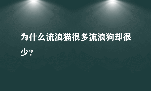 为什么流浪猫很多流浪狗却很少？