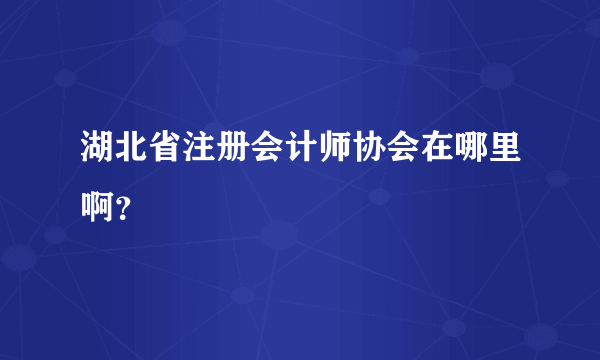 湖北省注册会计师协会在哪里啊？