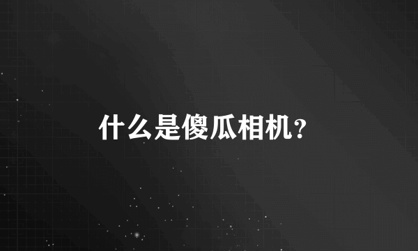 什么是傻瓜相机？