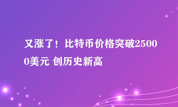 又涨了！比特币价格突破25000美元 创历史新高