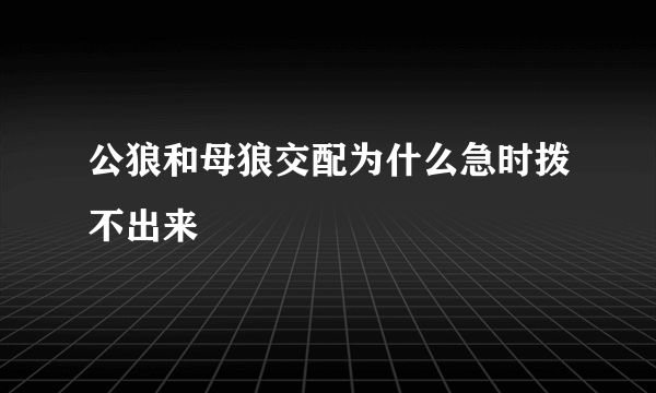 公狼和母狼交配为什么急时拨不出来