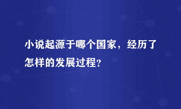 小说起源于哪个国家，经历了怎样的发展过程？