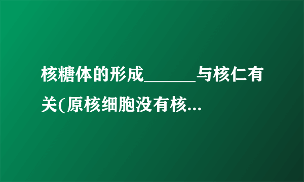 核糖体的形成______与核仁有关(原核细胞没有核仁也能形成核糖体)。