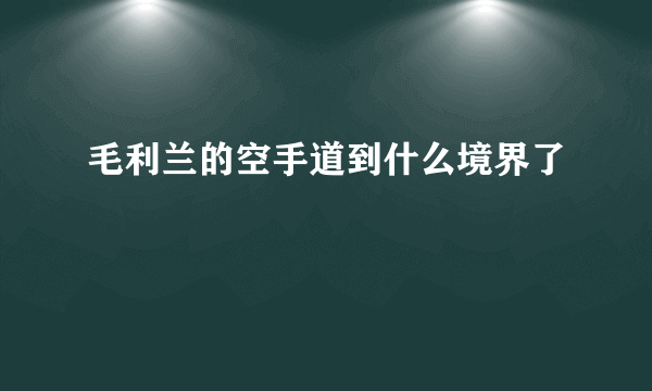 毛利兰的空手道到什么境界了