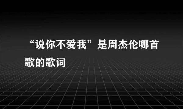 “说你不爱我”是周杰伦哪首歌的歌词