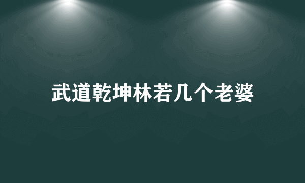 武道乾坤林若几个老婆