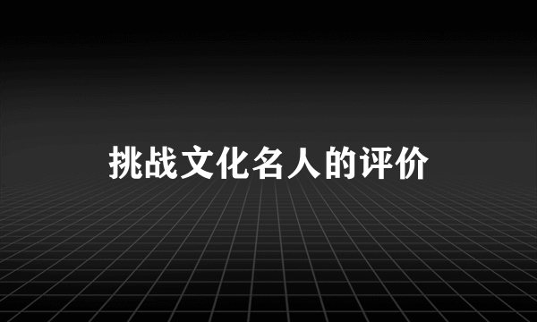 挑战文化名人的评价