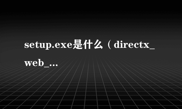 setup.exe是什么（directx_web_setup exe）