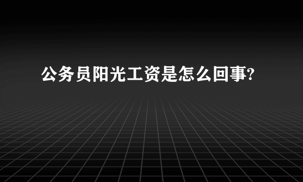 公务员阳光工资是怎么回事?