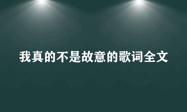 我真的不是故意的歌词全文