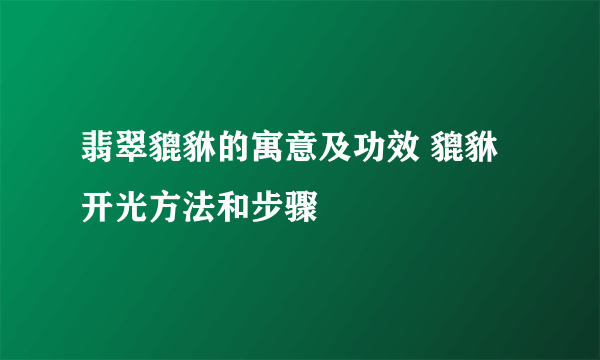 翡翠貔貅的寓意及功效 貔貅开光方法和步骤