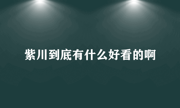 紫川到底有什么好看的啊